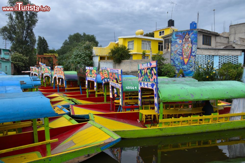 Immagine Trajineras presso l'embarcadero Salitre, uno dei più antichi di Xochimilco, inaugurato nel 1921.