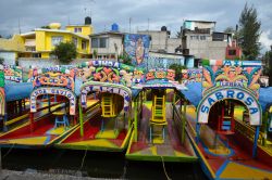 Dall'embarcadero Salitre si prendono le trajineras per una gita tra i canali di Xochimilco.

