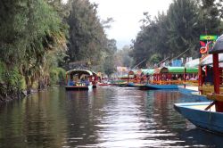 Le trajineras presso l'embarcadero Nativitas a Xochimilco (Città del Messico).
