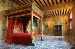 Chateau royal de  Blois: la camera del Re  