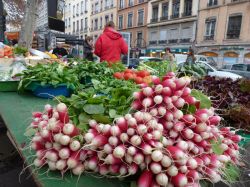 Il mercato della domenica mattina sulle rive ...