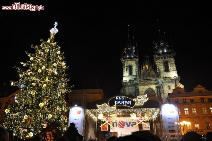 Il grande albero di Natale di Praga, nella Piazza della città vecchia