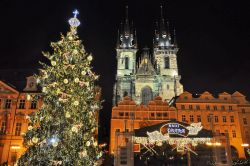 Albero di Natale a Praga, nella Piazza della ...