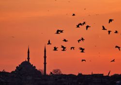 Quartiere dei Bazar di Istanbul al Tramonto, ...