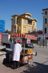 Venditore di castagne sull'Ippodromo di Istanbul