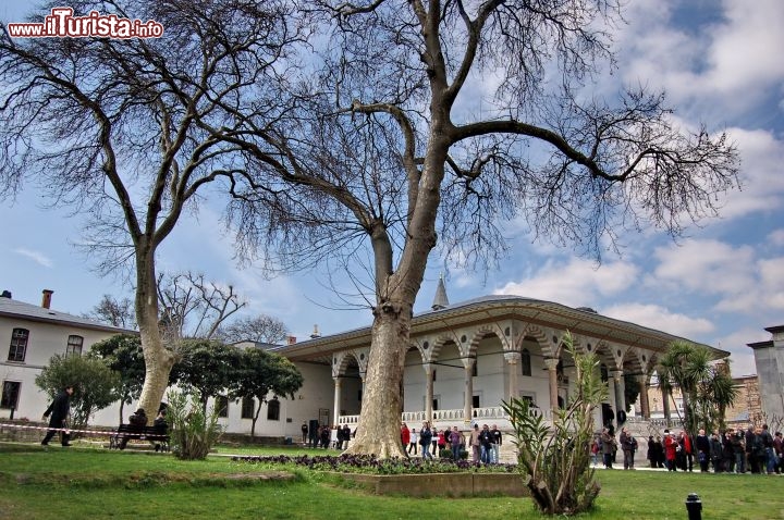 Immagine Alberi in una coorte del Topkapi