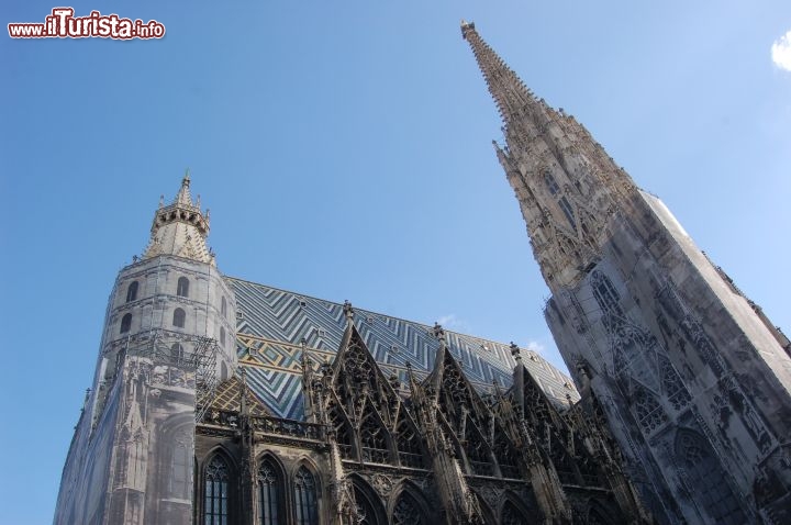 Immagine Stephansdom e la Stephans Turm Steffi