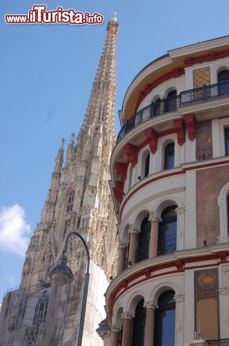 Immagine Steffi la torre sud dello Stephansdom