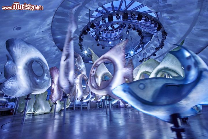Immagine L'interno della SeaGlass Carousel, la giostra a tema marino al Battery Park di New York City