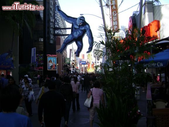 Immagine Il caos degli Universal Studios Los Angeles