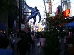 Il caos degli Universal Studios Los Angeles