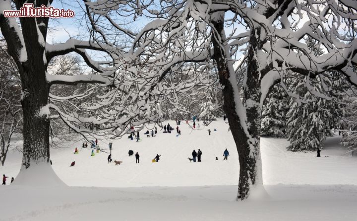 Immagine Cedar Hill, una delle colline di Central Park dove la neve diventa puro divertimento per i visitatori e cittadini di New York City - © John A. Anderson / Shutterstock.com