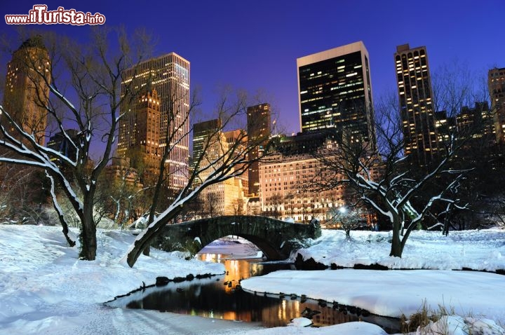 Immagine Nevicata nel cuore di Central Park a New York City - © Songquan Deng / Shutterstock.com