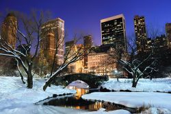 Nevicata nel cuore di Central Park a New York City - © Songquan Deng / Shutterstock.com
