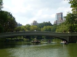 Bow Bridge Central Park