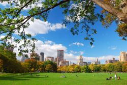 The Great Lawn a Central Park