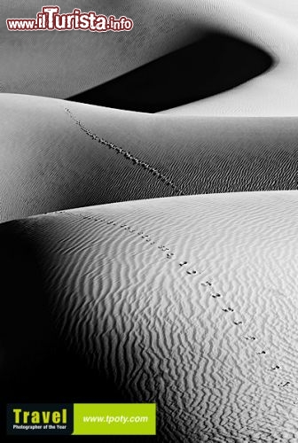 La magia del deserto immortalata da Anil Sud  www.tpoty.com