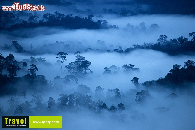 Thomas Endlein è l'autore di questo magico paesaggio nebbioso in Asia  www.tpoty.com