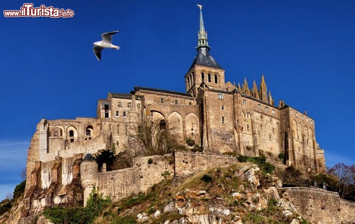 Gabbiano in volo davanti alla Abbazia di Mont St Michel