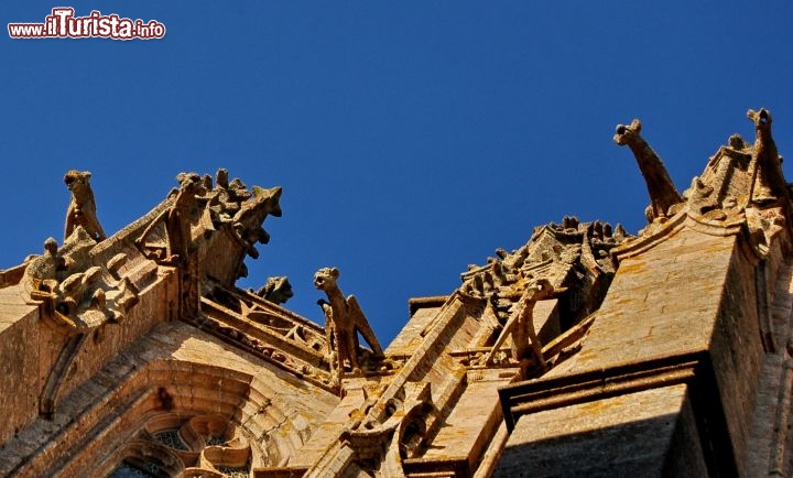 Mont saint michel le docce gotiche con i gargoyle