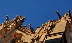 Mont saint michel le docce gotiche con i gargoyle ...