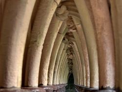 Dettaglio delle colonne del chiostro di Mont ...