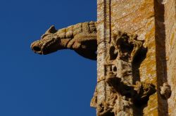 Un gargoyle un doccione di mont saint michel