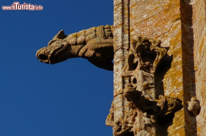 Un gargoyle un doccione di mont saint michel