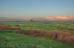 Mont saint michel appare all'alba