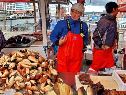 Il mercato del pesce a bergen, si vendono pesci ...