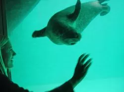L'acquario di Bergen merita una visita, è ben ...