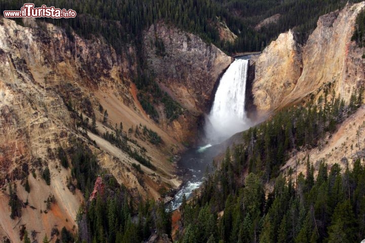 Lower Yellowstone Falls, USA - Il grand Canyon del fiume Yellowstone presenta delle colorazioni spettacolari