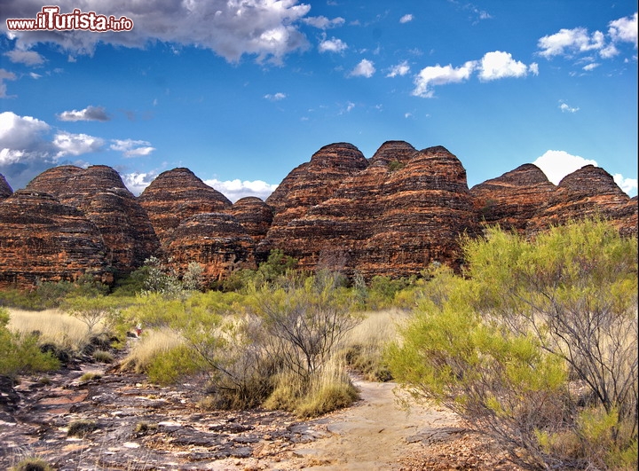 Purnululu bungle bungle le rocce del Kimberley in Australia -  caratteristiche per le strisce arancioni di roccia e nere per la presenza di licheni