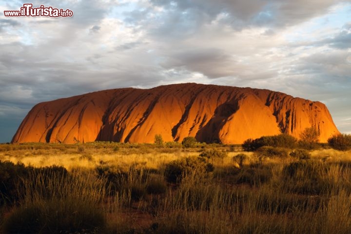 Uluru (Ayers Rock), Australia -  il massiccio roccioso dell'outback australiano. Al tramonto e all'alba il monolito assume una profonda colorazione rossa