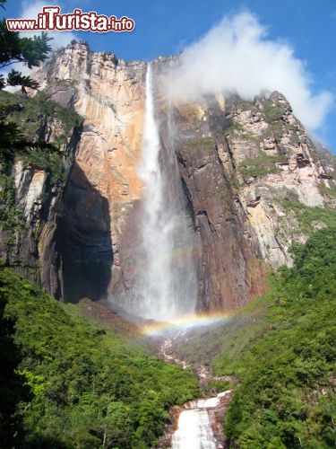 Il Salto Angel (Angel Falls) in Venezuela -  le Cascate dell'Angelo con la sua caduta di 980 metri sono le più alte del mondo