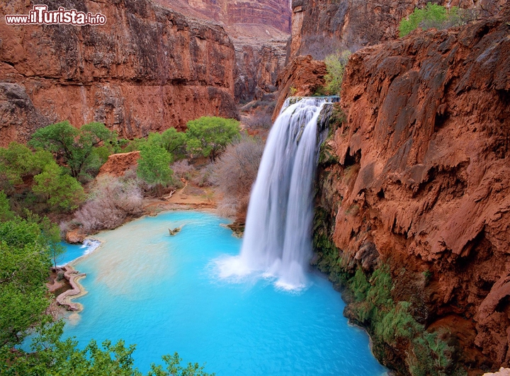 Havasu Falls, Havasupai, Grand Canyon, Arizona -  Con i sui 37 metri di salto, è la seconda cascata per altezza del Canyon