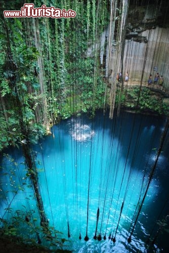 Cenote ik kil, Yucatan, Messico -  Le cavità carsiche dei cenotes, offrono scenari da favola, con le radici della foresta che si tuffano dentro, alla ricerca di acqua