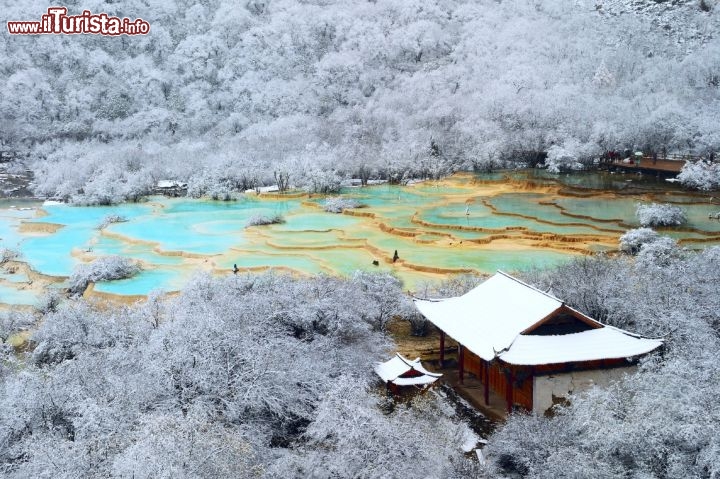 Parco Nazionale di Huanglong, Cina - Questo luogo particolare si trova in Cina, nel nord-ovest della provincia di Sichuan, più a meno a 150 km a nord di Chengdu, la capitale, un migliaio di km ad ovest di Xian, la città dell'esercito di terracotta. In mezzo a scenari grandiosi, tra montagne e foreste, troviamo una serie di laghetti sovrapposti, collegati da delle barriere di carbonato di calcio e travertino, una specie di Plitvice d'Oriente! Il luogo specifico è chiamato Huanglonggou (Il burrone del Dragone giallo) ma il Parco Nazionale  di Huanglong possiede varie altre attrazioni, ed è stato inserito tra i Patrimoni dell'Umanità dell'UNESCO. Nel parco vivono, inoltre, animali molto rari, come il Panda Gigante e il Rinopiteco dorato, una scimmia in pericolo di estinzione. Qui trovate maggiori informazioni, e le scelte che hanno spinto l'UNESCO ad inserire l'Huanglong national park tra i siti da salvaguardare  -  © xurui / iStockphoto LP.