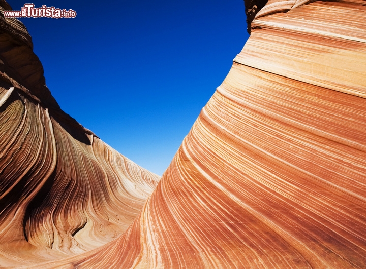 The Wave, Paria Canyon,Vermilion Cliffs National Monument, Coyote Buttes, Arizona - i colorati strati di arenaria