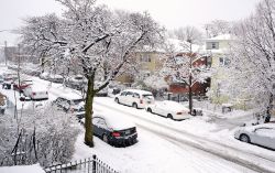 Neve nel quartiere Queens a New York City - © ...