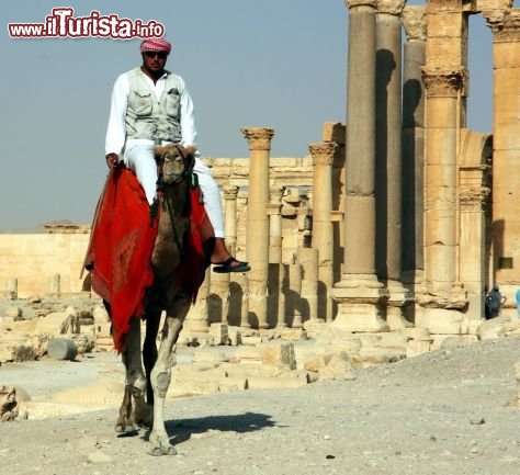 Immagine Palmira in Siria
DONNAVVENTURA® 2010 - Tutti i diritti riservati - All rights reserved