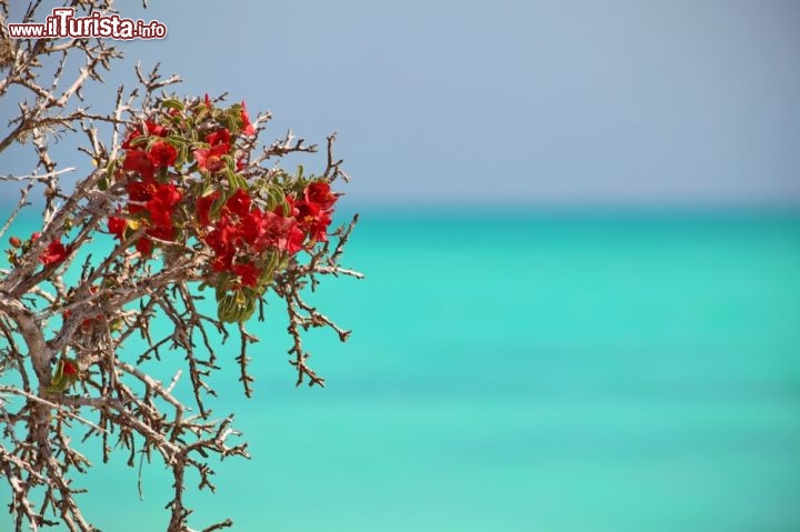 Mare nei pressi di Salary bay, Madagascar