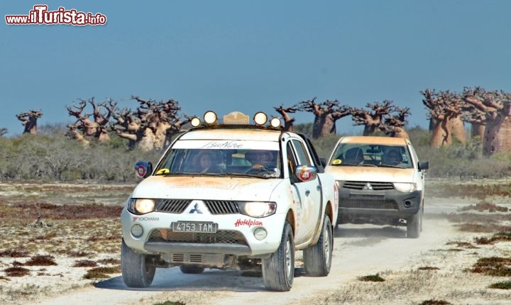 Pick up fra gli alberi bottiglia in Madagascar