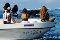 La magia del whale watching in Madagascar