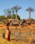 Tipico villaggio Malgascio con i baobab