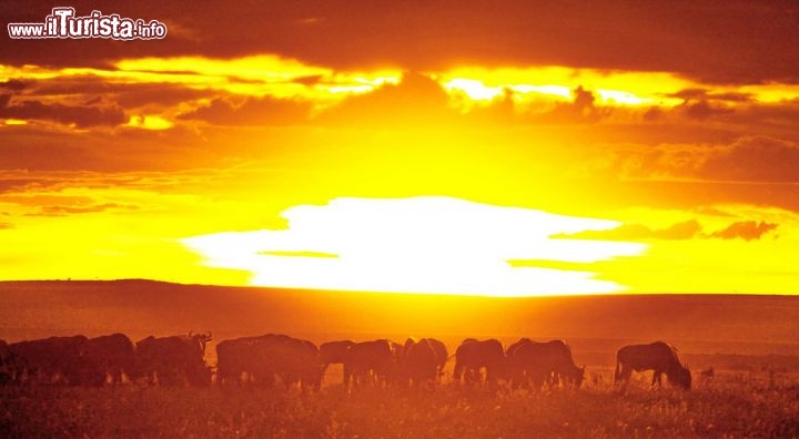 Tramonto sulla Savana del Kenya - copyright Donnavventura