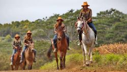 Amazzoni a Cavallo sull'Isola di Mauritius