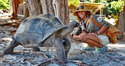 Donnavventura incontra le tartarughe giganti ...
