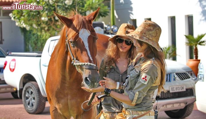 Donnavventura 2011:il fascino di un cavallo arabo