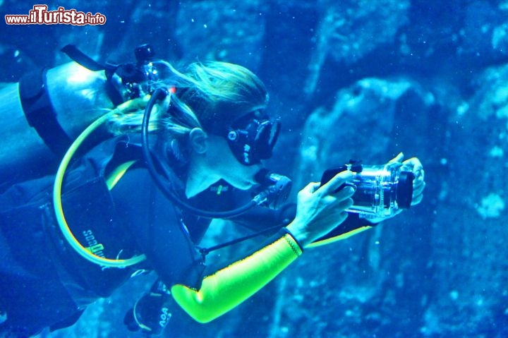 Stefania nuota all'interno dell'acquario del Dubai Mall